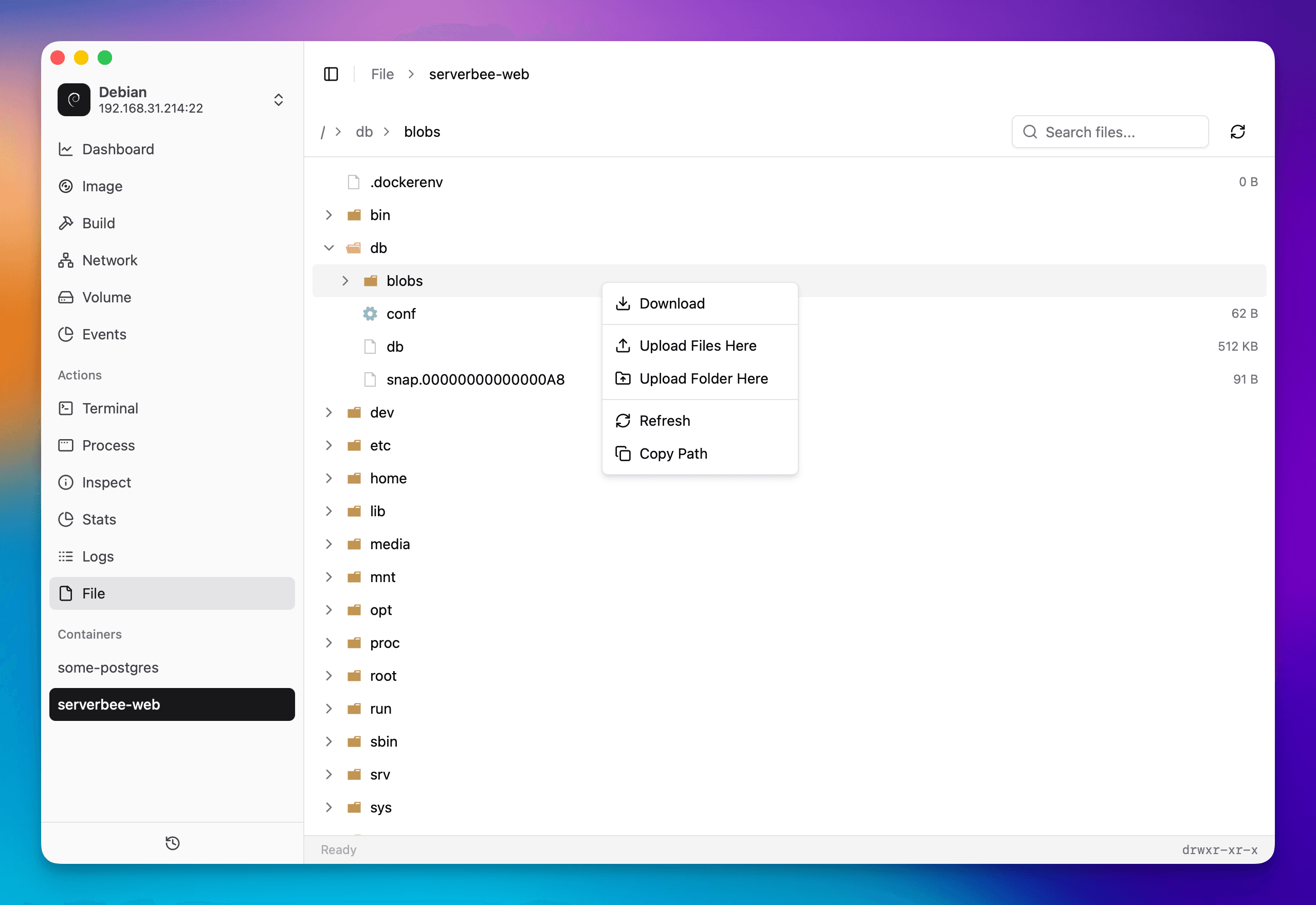 Container File Browser